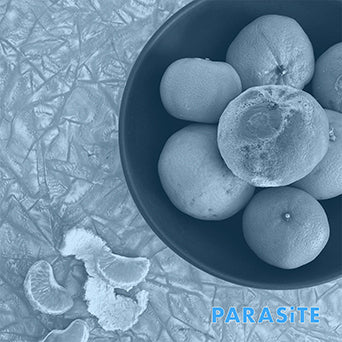 Cell Rot "Parasite"