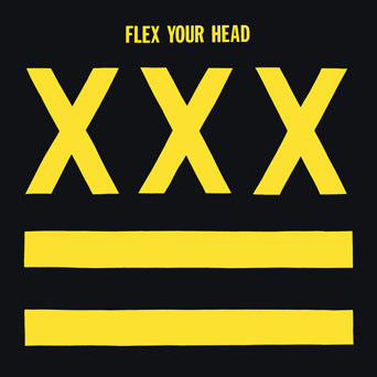 DC名盤 VA 「Bouncing Babies」裏FLEX YOUR HEAD V/A 