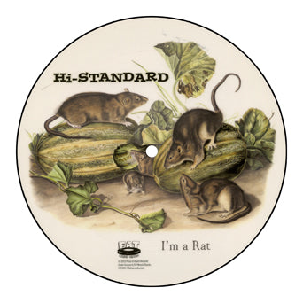 Hi-Standard "I'm A Rat"