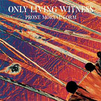 Only Living Witness 