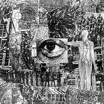 Erosion "Invasive Species"