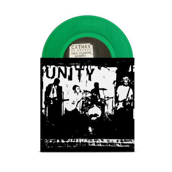 Unity Vinyl Unity