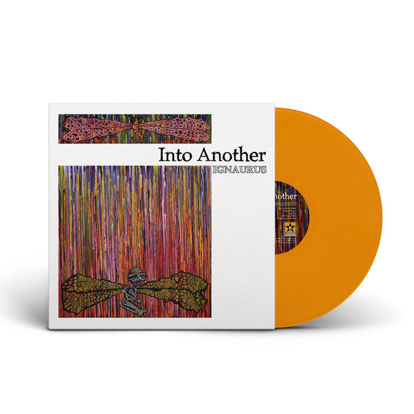 REV035-IntoAnother-Tangerine-