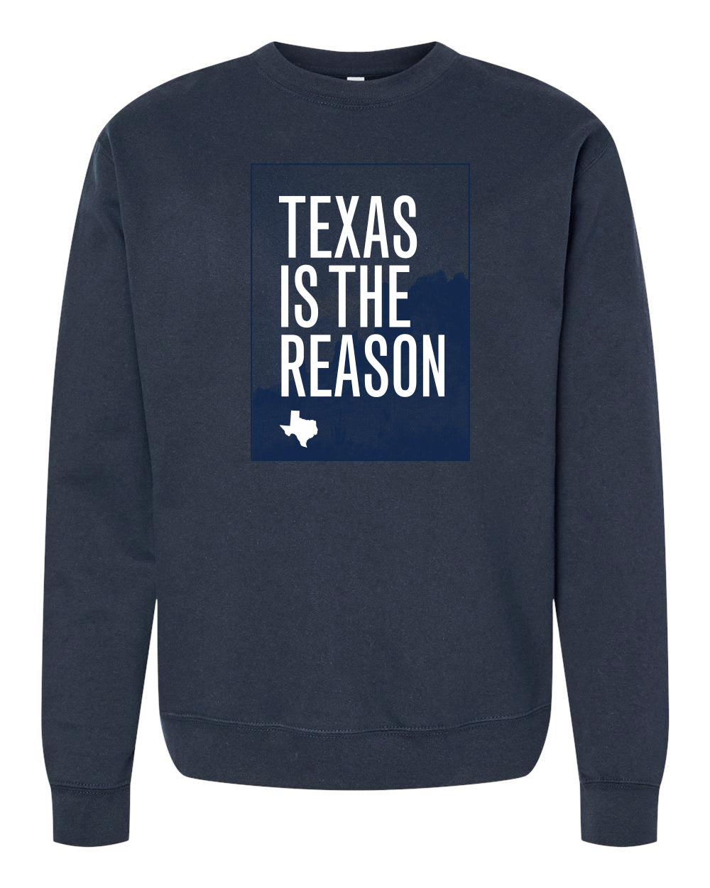 emo エモ　Texas Is The Reason スウェット ネイビー Texas Is The Reason 
