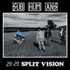 Subhumans "29:29 Split Vision"