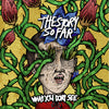 The Story So Far "What You Don't See"