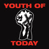 Youth Of Today "Fist" - Sticker
