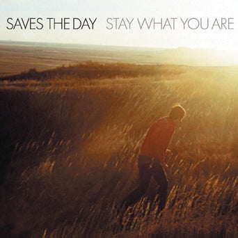 【レコード】 Saves the day / Stay what you are Saves The Day 