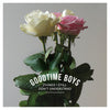 B9R206-1 Goodtime Boys "Things I Still Don't Understand" 7" Album Artwork