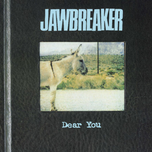 再入荷アイテム Jawbreaker  洋楽