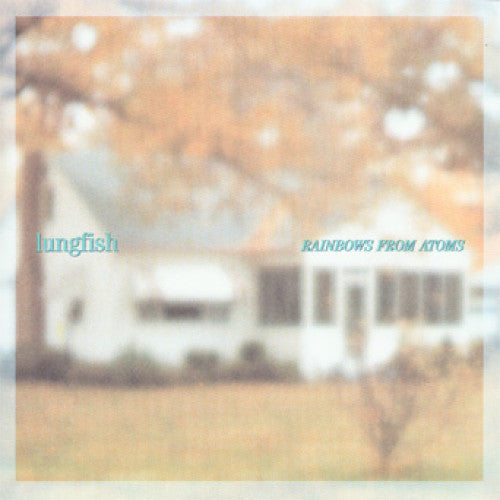 DIS078-1 Lungfish "Rainbows From Atoms" LP Album Artwork