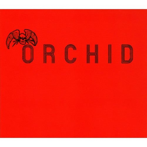 ソイングク/We Can Dance Tonight/CD Orchid 