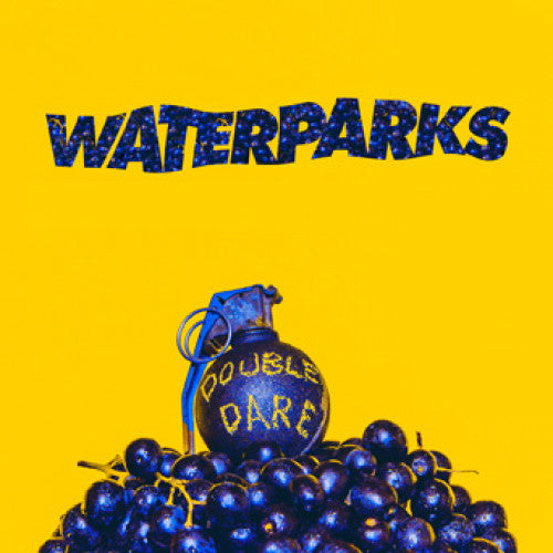 ウォーターパークス　ダブルデア　ヴァイナル Waterparks 