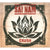 REAP050-2 Sai Nam "Crush" CD Album Artwork