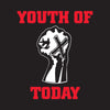 REVBAN01 Youth Of Today "Fist" - Banner